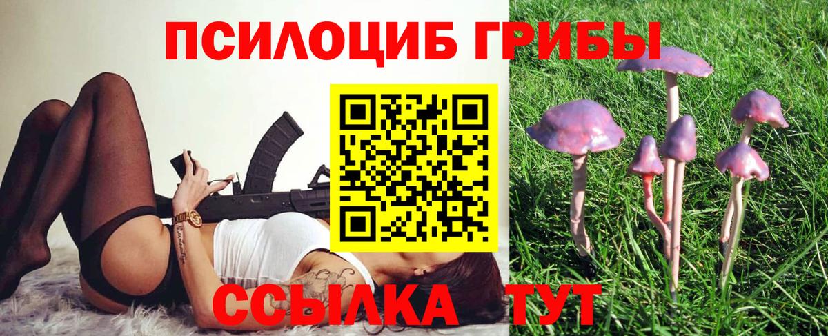 Псилоцибиновые грибы мухоморы Нововоронеж