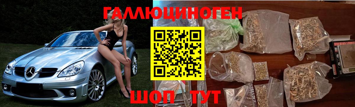 Галлюциногенные грибы прущие грибы  Псилоцибиновые грибы Magic Shrooms  Нововоронеж  Вход с VPN 